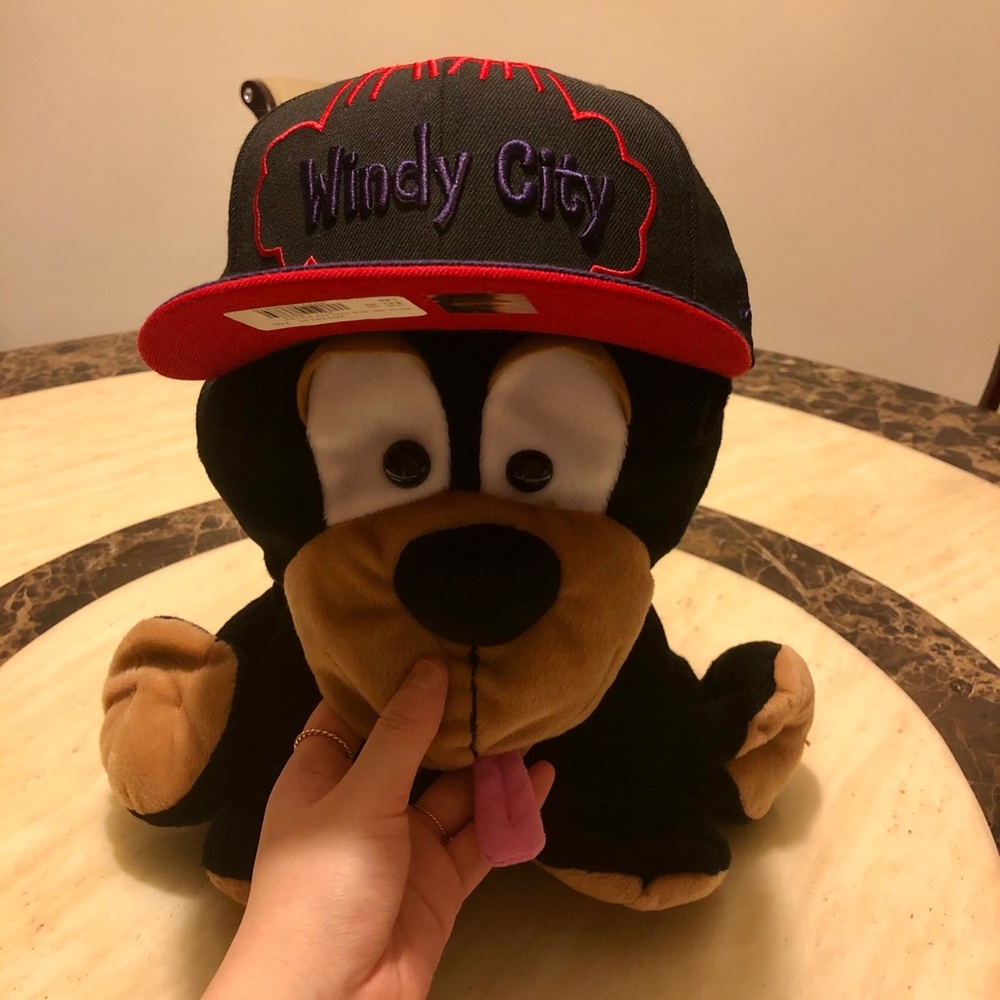 ✨3 for 60✨New New Era 59FIFTY Windy City Hat